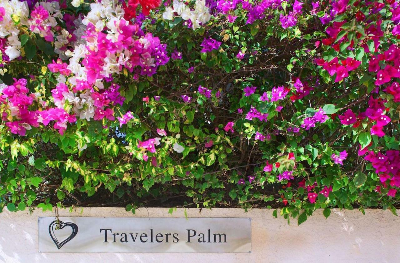 Travelers Palm Inn Key West Extérieur photo